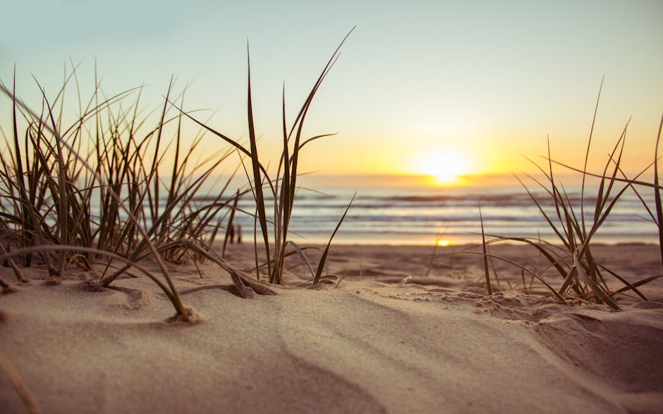 ViaBastia : 3 lignes gratuite pour rejoindre les plages cet été !