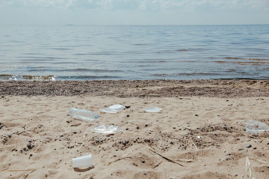 World Cleanup Day : nettoie la plage du Ricantu