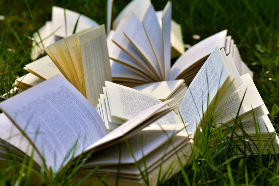 Grande bourse aux livres à Ajaccio