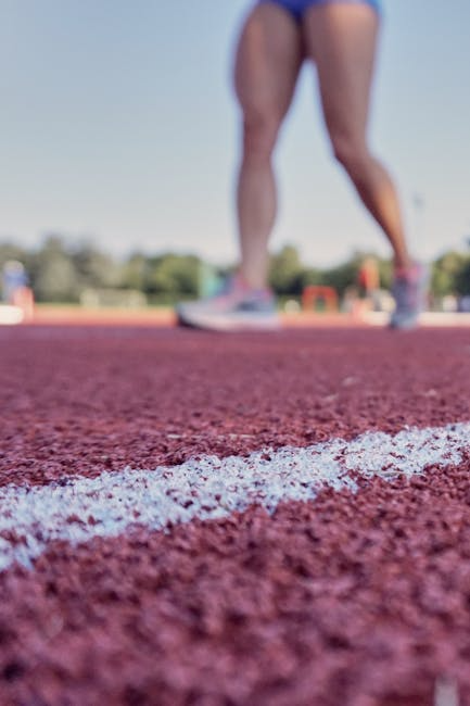 Fête du sport à U Viscuvatu : Samedi 13 septembre