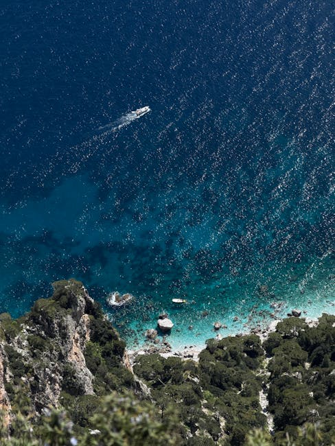 Festival de la Méditerranée à Aiacciu: s'engager pour la mer